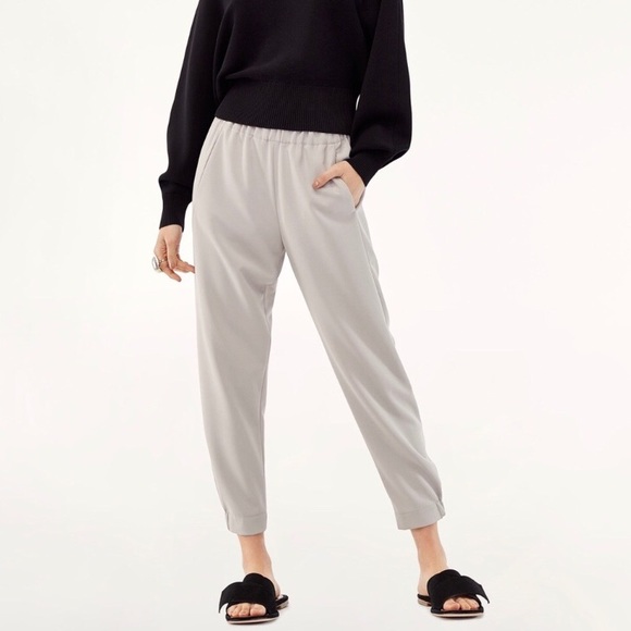 Aritzia Pants - Babaton Dexter Pants
